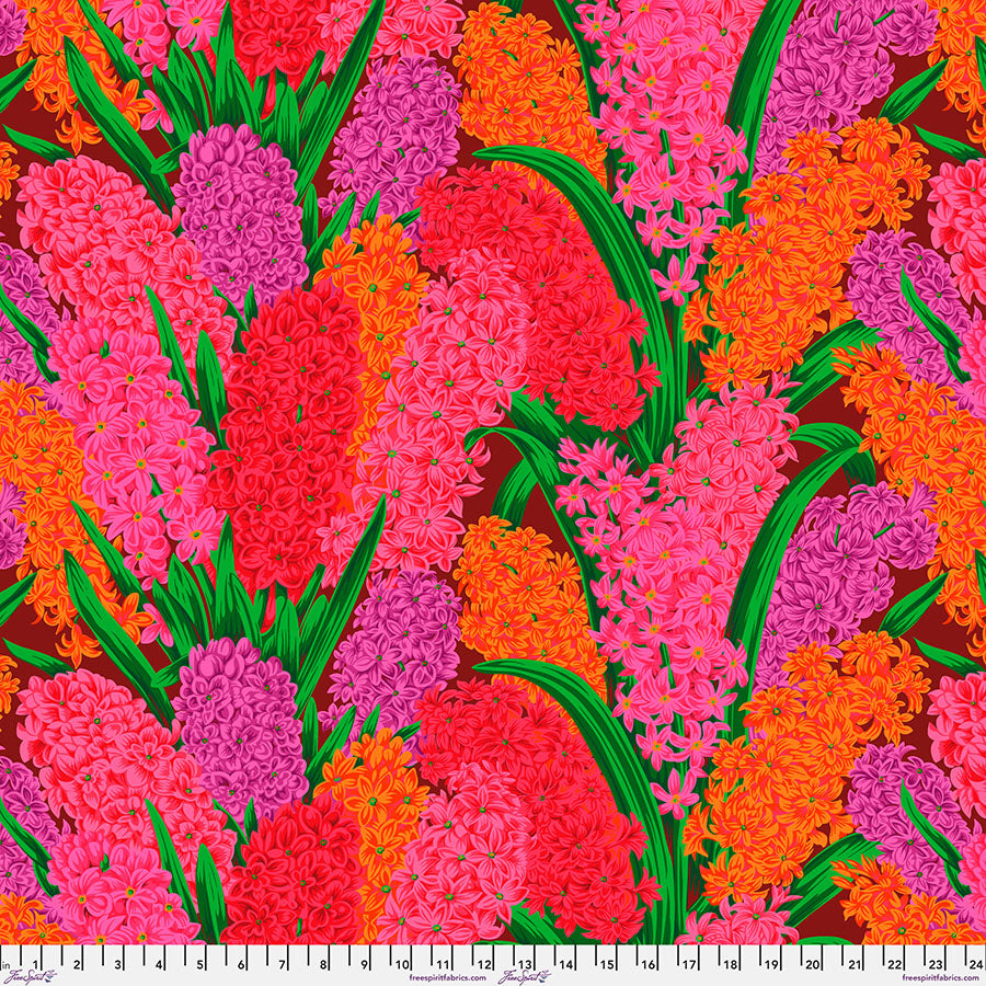 HYACINTHUS RED PWPJ123 Philip JacobsKFC August 2023