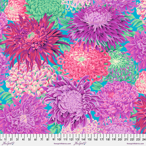 JAPANESE CHRYSANTHEMUM MAGENTA PWPJ041 Philip Jacobs