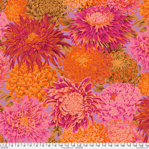 JAPANESE CHRYSANTHEMUM PINK PWPJ041 Philip Jacobs