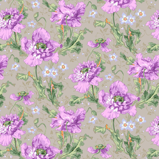 PAPAVER Grey PWPJ127.Grey Kaffe Fassett Collective AUGUST 2024