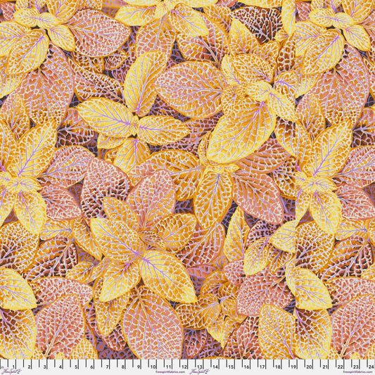 PRE-ORDER! FITTONIA GOLD PWPJ129  Philip Jacobs Kaffe Fassett Collective AUGUST 2024