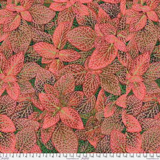 PRE-ORDER! FITTONIA RED PWPJ129  Philip Jacobs Kaffe Fassett Collective AUGUST 2024
